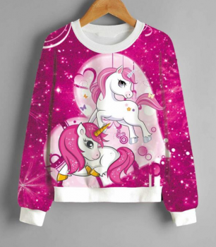 Einhorn Sweater