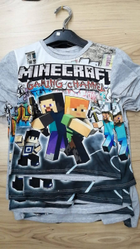 Minecraft T-Shirt grau