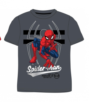 Spiderman Shirt grau