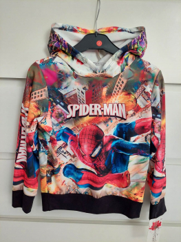 Spiderman Hoodie